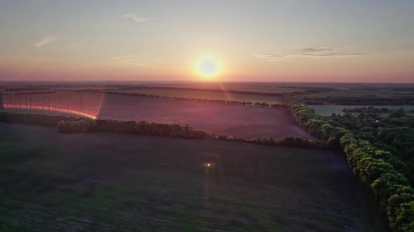 Beautiful Sunset Sky Over a Green Meadows