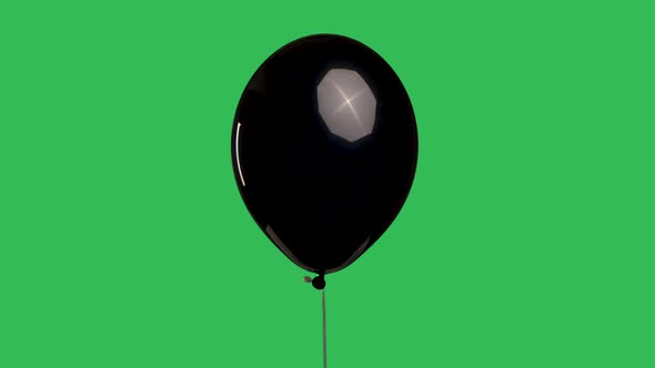 Glossy Black Balloon Hangs in Air and Then Falls Down Against Background of Green Screen Chroma Key