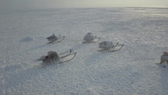 Wonderful Capturing Video of Drone From the Top of Yurts in the Middle of Tundra in Arctic