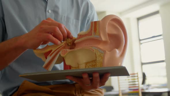 Caucasian male teacher holding anatomical model in classroom at school 4k