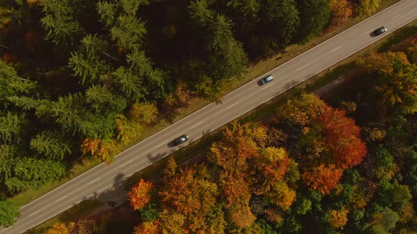 Aerial top view at a diagonal directed road with many driving passenger cars framed by autumn colore