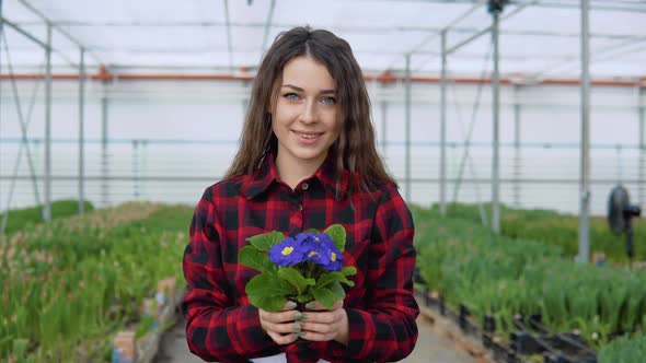 A Young Girl Florist or Botanist Stands Between Rows of Tulip Seedlings and Shows the Camera Purple