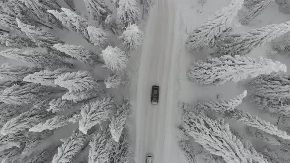 Top View Cars in a Forest Full of Snow Drone