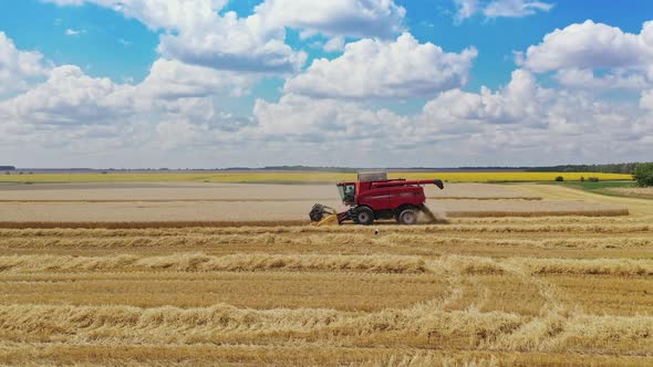 Red combine harvester working on the field at seasonal works.