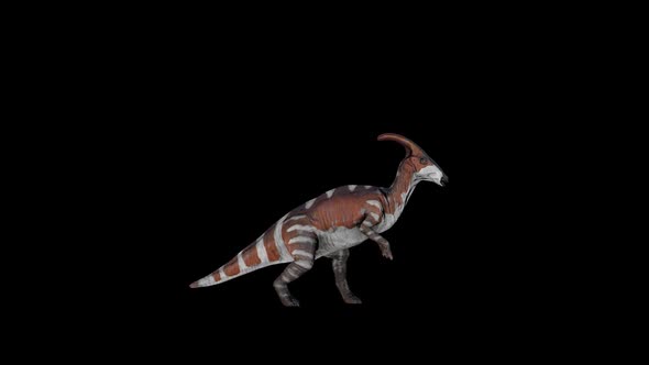 Dinosaur Parasaurolophus Walk