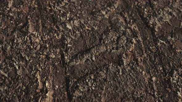 Wheel Tracks on Rough Road