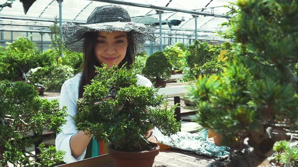 Japanese florist at work