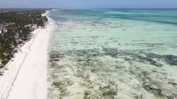 Low Tide in the Ocean Near the Coast of Zanzibar Island Tanzania