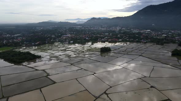 Aerial move over reflection paddy field water season