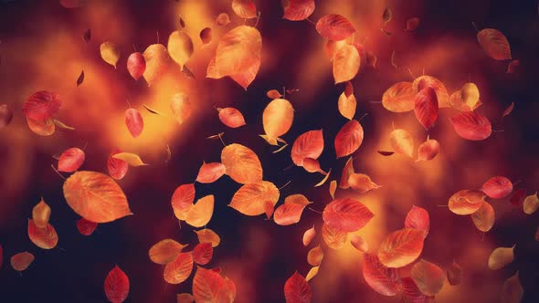 Red Autumn Leaves