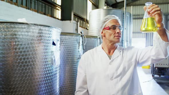 Technician examining olive oil