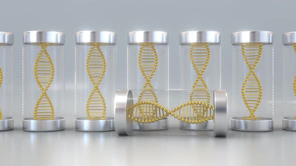 Laboratory Jars with Gold DNA Molecule Models