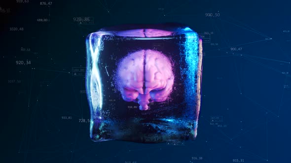 Frozen Human Brain Inside a Rotating Ice Cube