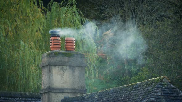 Chimney Smokes With Trees Behind