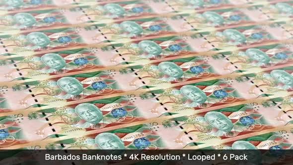 Barbados Banknotes / Barbadian Money / Dollar / BBD$ / 6 Pack - 4K