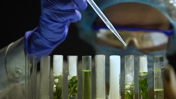 Biochemist Adding Agent in Tubes With Green Plants Cosmetology Products Research