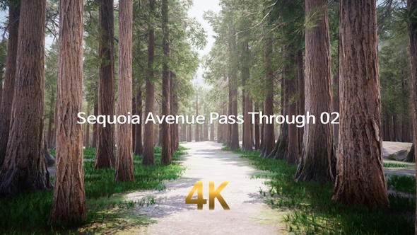 Sequoia Avenue Pass Through 4K 02
