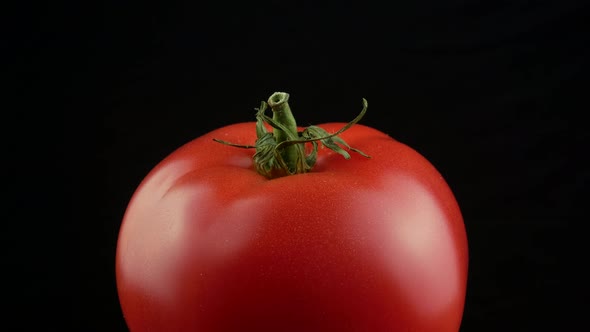 Fresh red tomato green stem