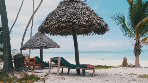 Tropical Deck Chairs Under Thatched Umbrellas at Sandy Beach By Ocean Zanzibar