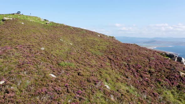 Flying Above Heather in County Donegal  Ireland