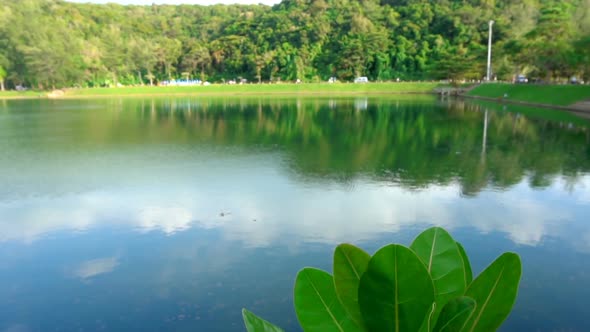 Landscape with Lake