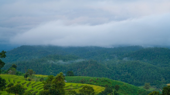 Rice Terraces On Mountain