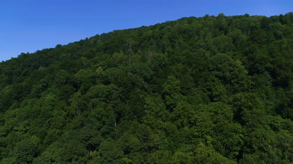 The Mountain is Completely Covered with Centuries-Old Trees Close-up Aerial View