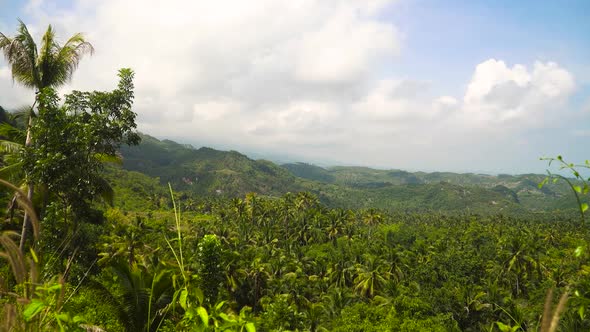 Mountains with Tropical Forest