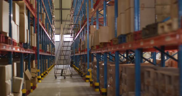 Empty warehouse with multiple boxes on shelfs with ladder on floor