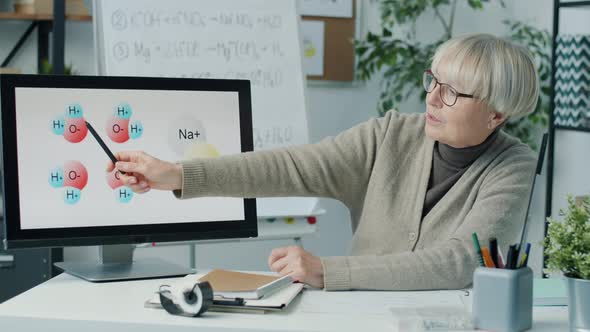 Chemistry Expert Discussing Ideas with Student During Distant Class Pointing at Computer Screen alt