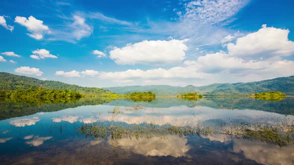 Nature Reflection Water