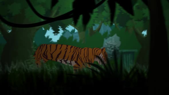 The alone tiger is running in the dense tropical rainforest in the morning.