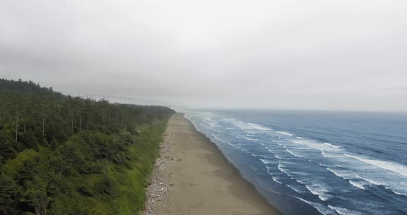 Drone view of dense forest in fog with ocean in Ruby Beach, Olympic National Park, Washington, USA