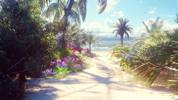 Beautiful Seashore alt