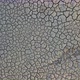 Descend On Cracked Mud Texture Dry Lake Bed - VideoHive Item for Sale