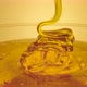 Thick Golden Honey Flowing Into a Glass - VideoHive Item for Sale