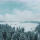 Drone footage of snow-covered trees, winter nature beautiful India aerial view pine forest mountain - VideoHive Item for Sale