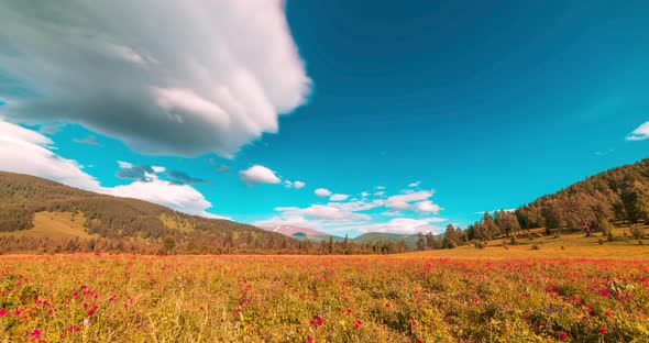 Mountain Meadow Timelapse at the Summer or Autumn Time