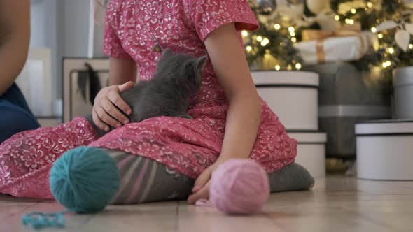 Little Girl Petting Cute Kitten By Christmas Tree