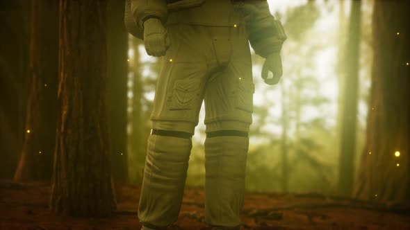 Lonely Astronaut in Dark Forest