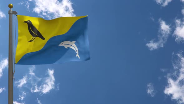 Tywyn City Flag Wales (Uk) On Flagpole