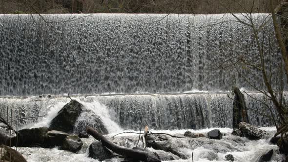 Waterfall In The Jungle alt