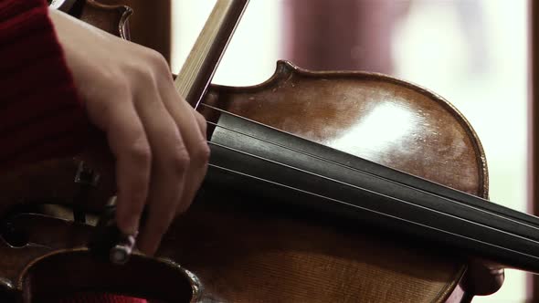 Young Woman Playing Violin. Close Up.