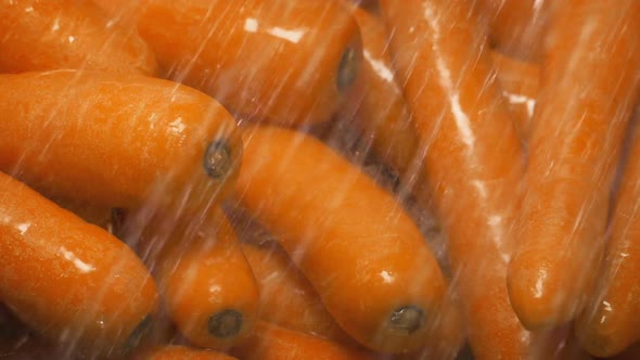 Carrots Get Cleaned In Water Spray