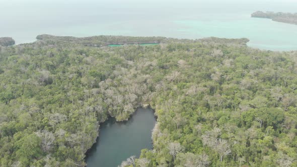 Aerial: flying over tropical sea pristine coastline rainforest turquoise lagoon