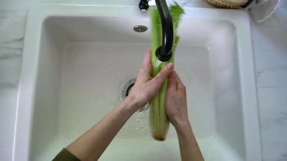 Woman washing celery in sink in kitchen