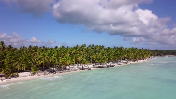 Blue Ocean White Sand Beach Nature Tropical Palms Island