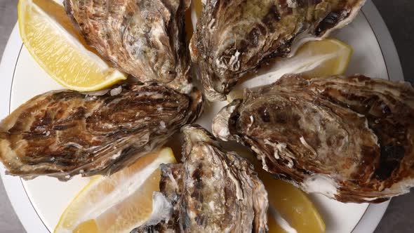 Fresh Oysters 27