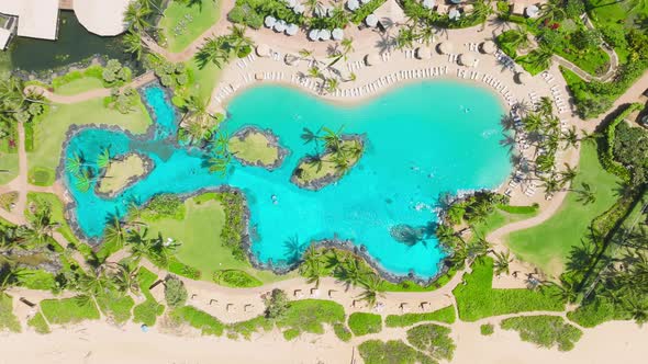 Aerial View Drone Shot of Coconut Palm Trees at Pool in Oceanfront Resort Hawaii