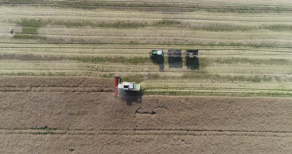 Machinery Harvesting Crops on Field